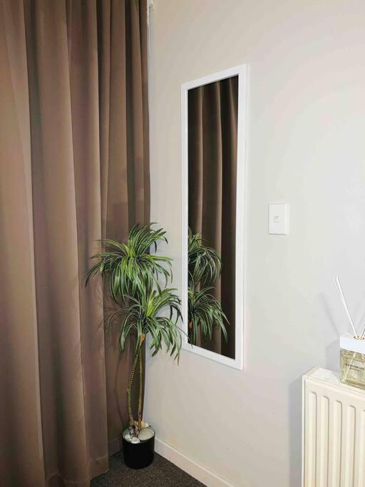 Cosy Motel Studio Apartment In Central City-Up To 2 Beds ไครสต์เชิร์ช ภายนอก รูปภาพ